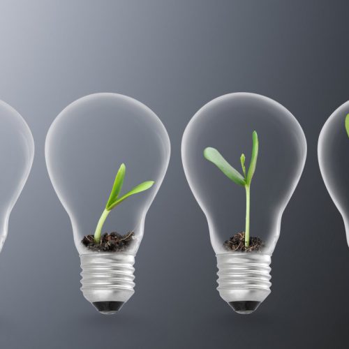 Hacia una industria circular: la ecología industrial como herramienta clave