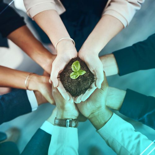 La importancia de la responsabilidad medioambiental en el ámbito empresarial